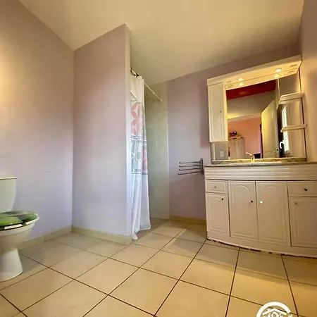 Ferienhaus Le Joyaux D'ambre La Pomarède