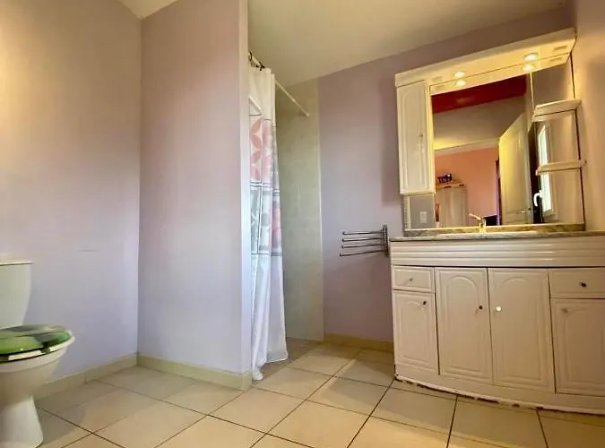 Дом отдыха Le Joyaux D'ambre La Pomarede